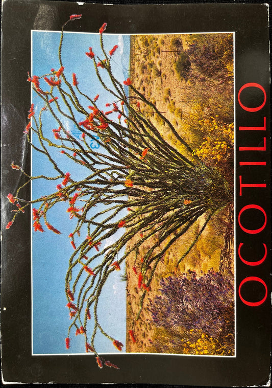 Ocotillo, Arizona - Retro Postcard 1980s