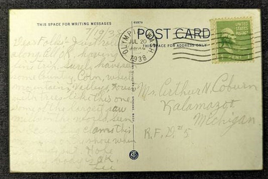 Giant Fir - One of Washington's Big Trees, Washington - 1940s Linen Nature Postcard