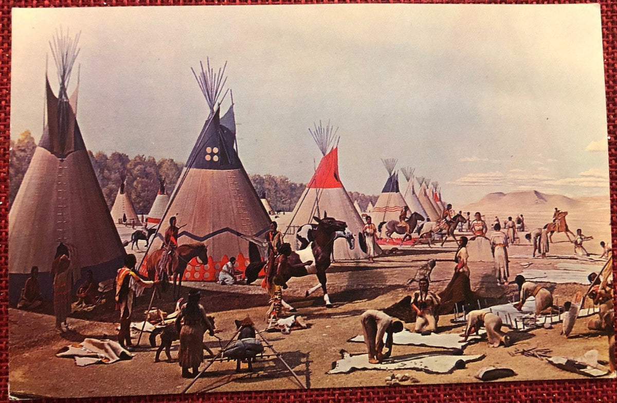 University of Michigan - Museum Exhibit - Plains Native American Encampment Vintage Postcard