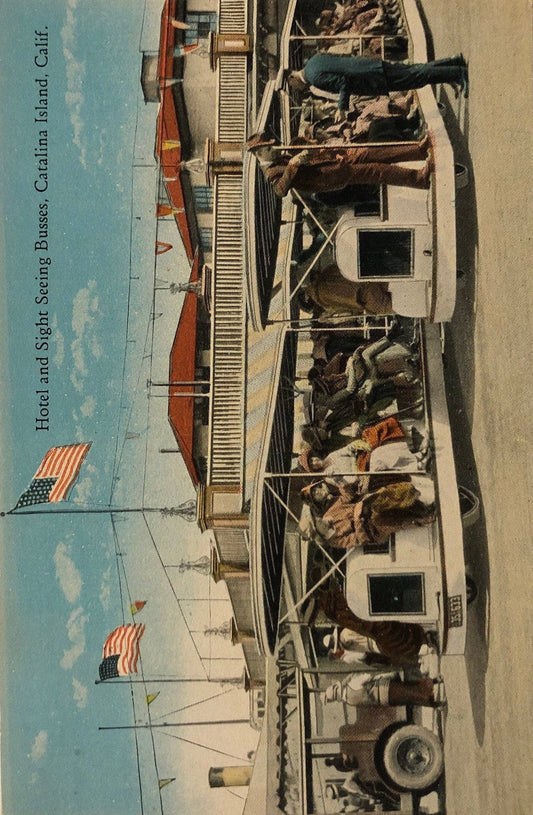 Catalina Island, California - Vintage Postcard