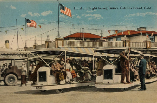 Catalina Island, California - Vintage Postcard