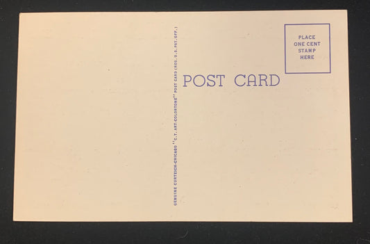 Silver Birches, Maine - 1940s Linen Postcard