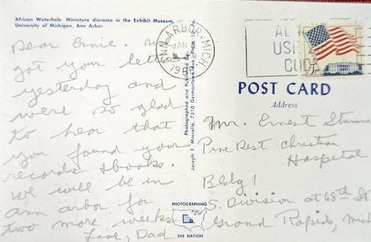 University of Michigan Museum African Waterhole, Ann Arbor, Michigan - Vintage Postcard