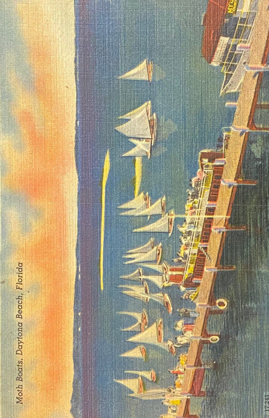 Moth Boats - Daytona Beach, Florida - 1940s Linen Postcard