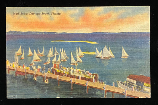 Moth Boats - Daytona Beach, Florida - 1940s Linen Postcard