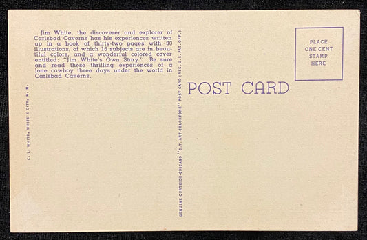 Jim White - Old Bucket - Carlsbad Caverns, New Mexico - 1934 Linen Postcard