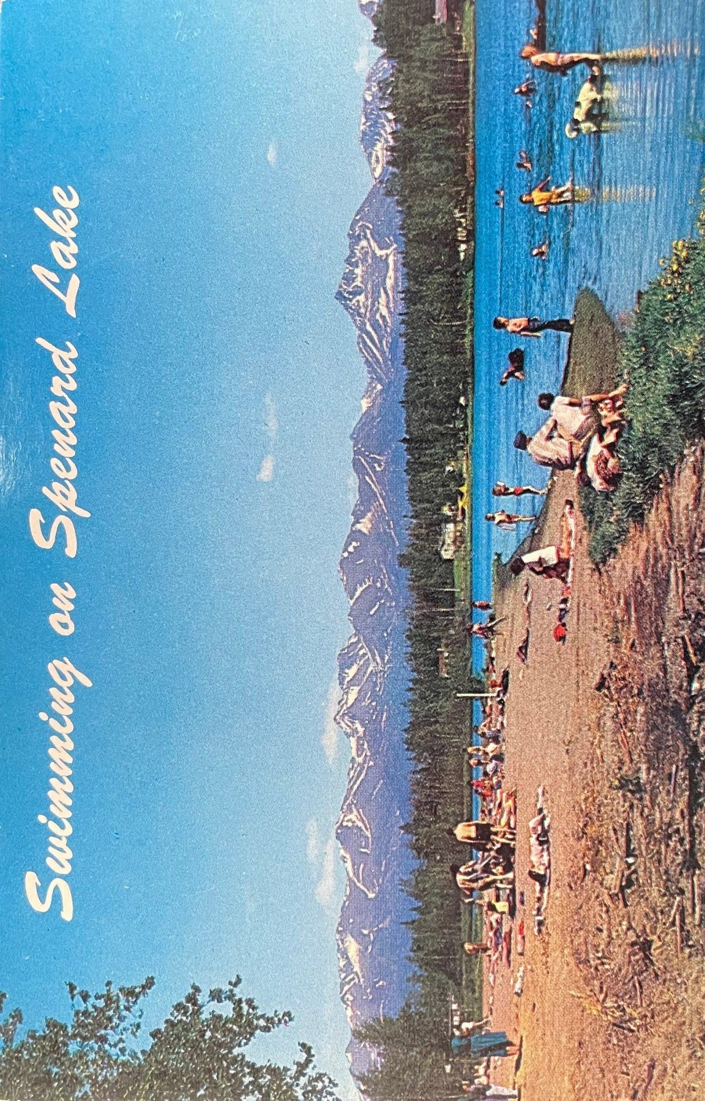 Swimming on Spenard Lake - Vintage 1950s Alaska Postcard