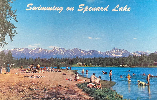 Swimming on Spenard Lake - Vintage 1950s Alaska Postcard
