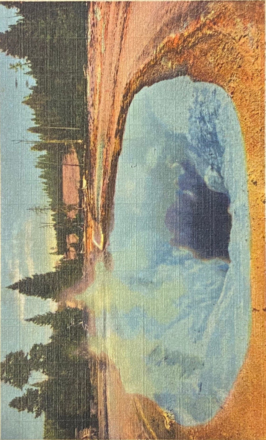 Morning Glory Pool, Yellowstone National Park, Wyoming - Vintage Postcard