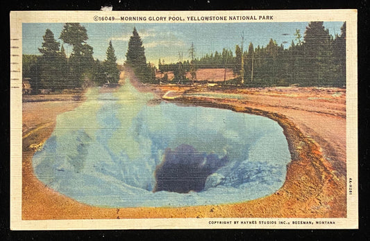 Morning Glory Pool, Yellowstone National Park, Wyoming - Vintage Postcard