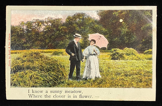 I know a sunny meadow, Where the clover is in flower - Funny/Satirical Vintage Postcard