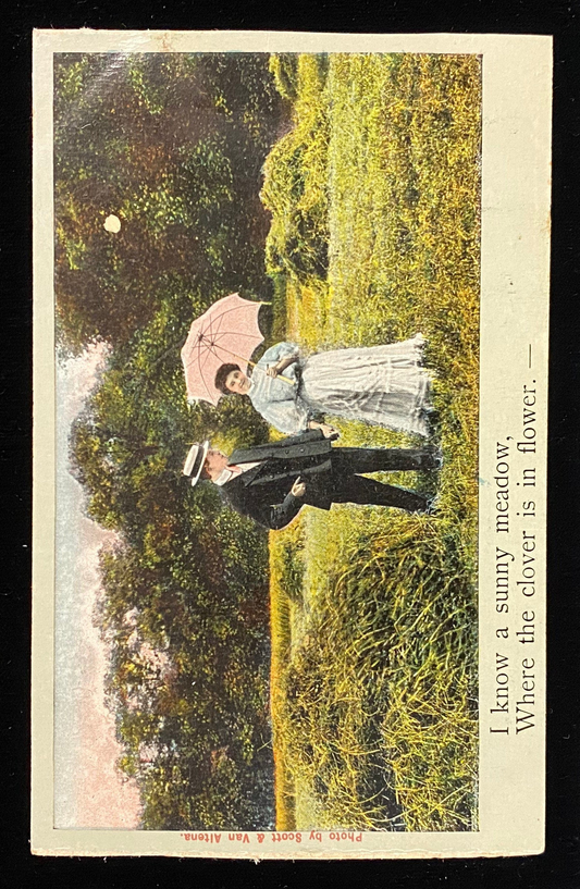 I know a sunny meadow, Where the clover is in flower - Funny/Satirical Vintage Postcard