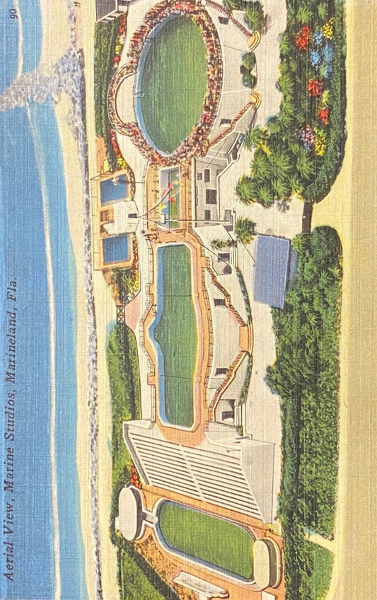 Aerial View - Marine Studios - Marineland, Florida - 1940s Postcard