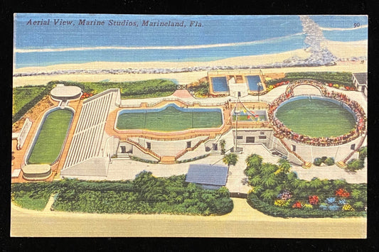 Aerial View - Marine Studios - Marineland, Florida - 1940s Postcard