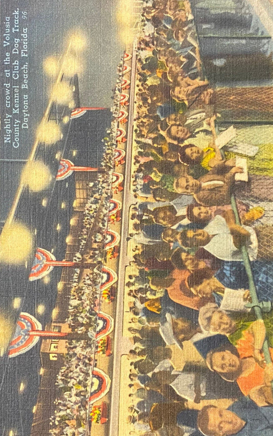 Nightly crowd at the Volusia County Kennel Club Dog Track - Daytona Beach, Florida - Vintage Postcard