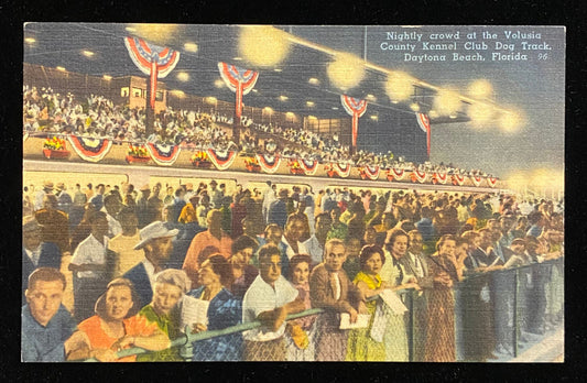 Nightly crowd at the Volusia County Kennel Club Dog Track - Daytona Beach, Florida - Vintage Postcard