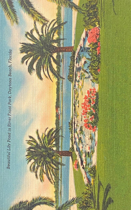 Beautiful Lily Pond in River Front Park, Daytona Beach, Florida - 1940s Linen Postcard