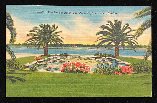 Beautiful Lily Pond in River Front Park, Daytona Beach, Florida - 1940s Linen Postcard