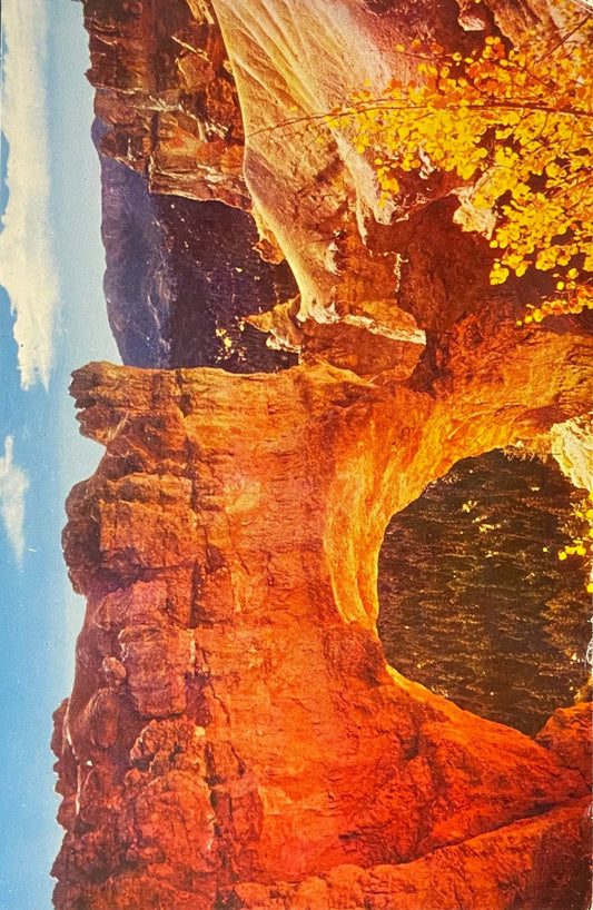 Natural Bridge - Bryce Canyon National Park - Utah - 1960s Postcard