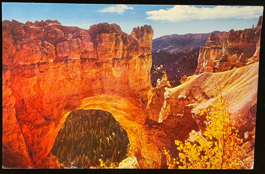Natural Bridge - Bryce Canyon National Park - Utah - 1960s Postcard