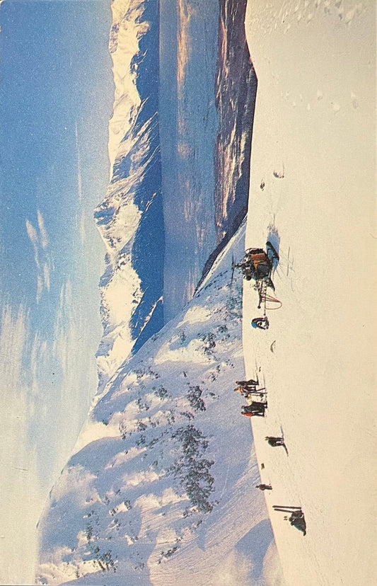 Skiing in Alaska by Helicopter-Lift - 1950s Alaska Postcard