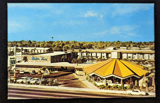 The Water Tree - Fresno, California - Vintage Postcard