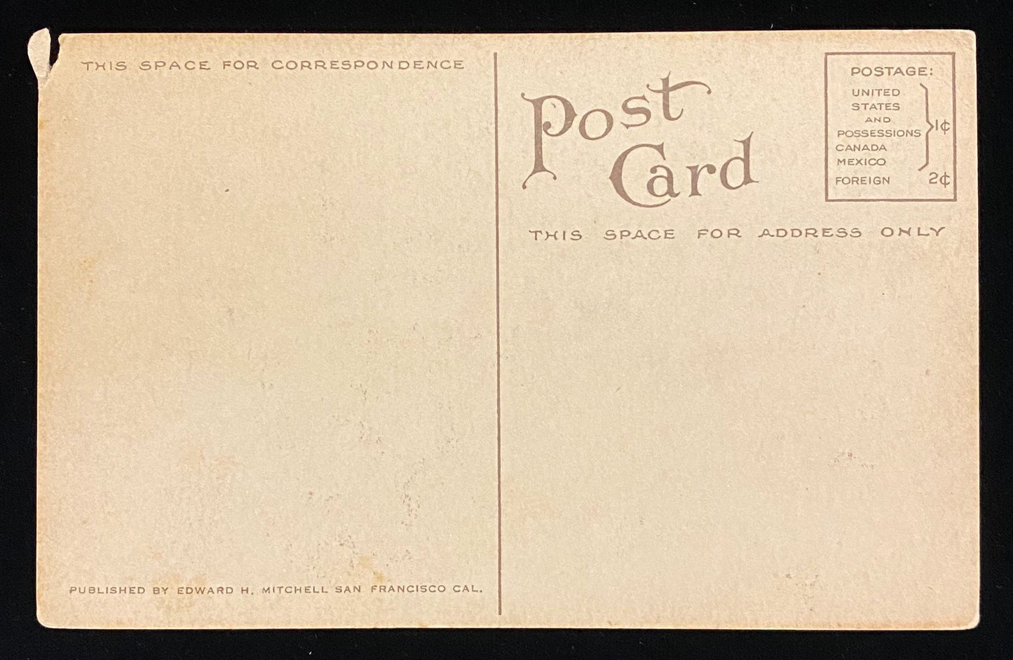 Burned Out Sequoia, General Grant National Park, California - Vintage  1910 Postcard