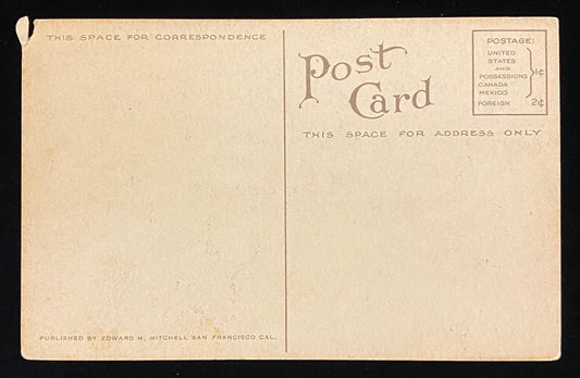 Burned Out Sequoia, General Grant National Park, California - Vintage  1910 Postcard