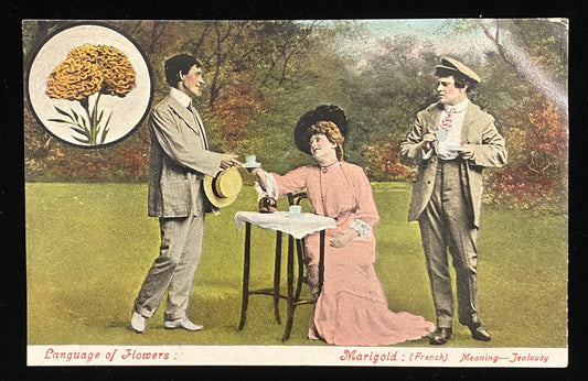 Language of Flowers: Marigold - French meaning Jealousy - Satrical Vintage Postcard