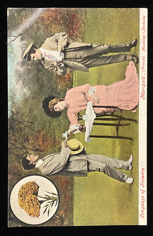 Language of Flowers: Marigold - French meaning Jealousy - Satrical Vintage Postcard