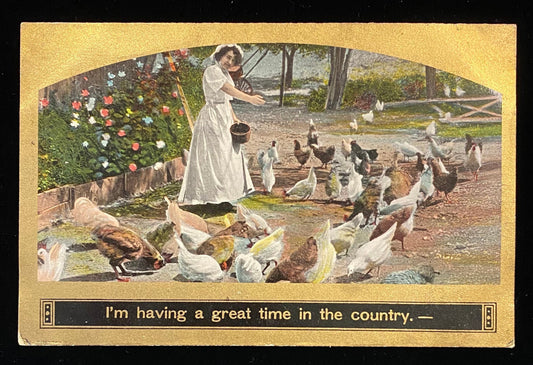 I'm having a great time in the country - Satirical Vintage Postcard