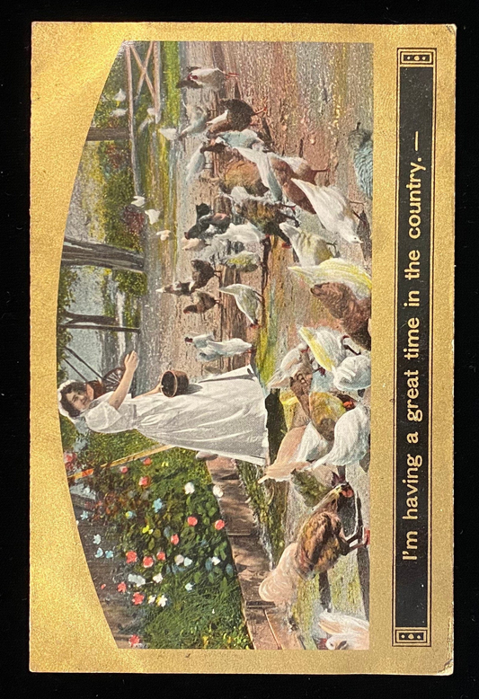 I'm having a great time in the country - Satirical Vintage Postcard
