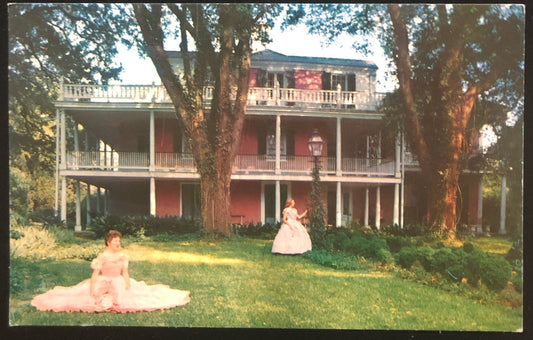 The Elm's Natchez, Mississippi Southern Belle - Vintage Postcard