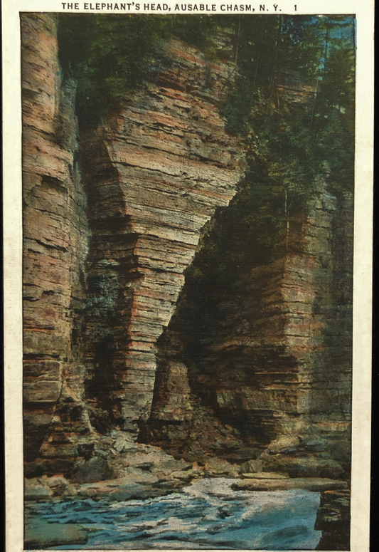 Elephant Head Ausable Chasm, New York - Vintage Postcard