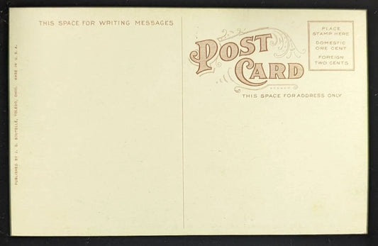 The Living Flag in which 3000 Children took part. G.A.R. Encampment, Toledo, Ohio - Vintage Postcard
