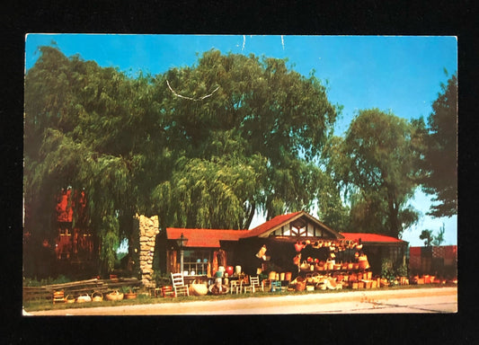 Willow Bend Farm - Fennville Michigan - Vintage Postcard