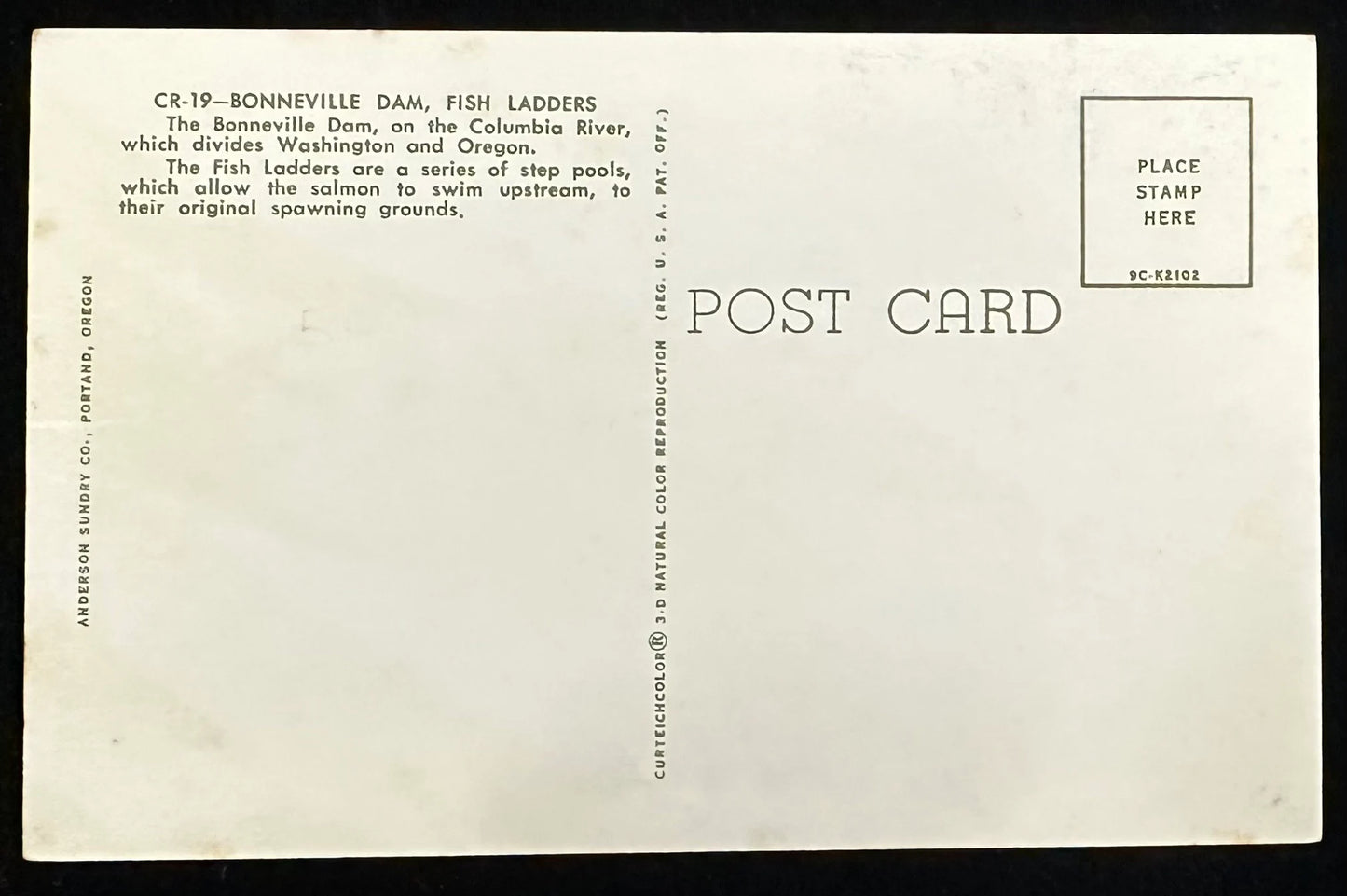 Fish Ladders at Bonneville Dam, Columbia River dividing Oregon and Washington - Vintage Postcard