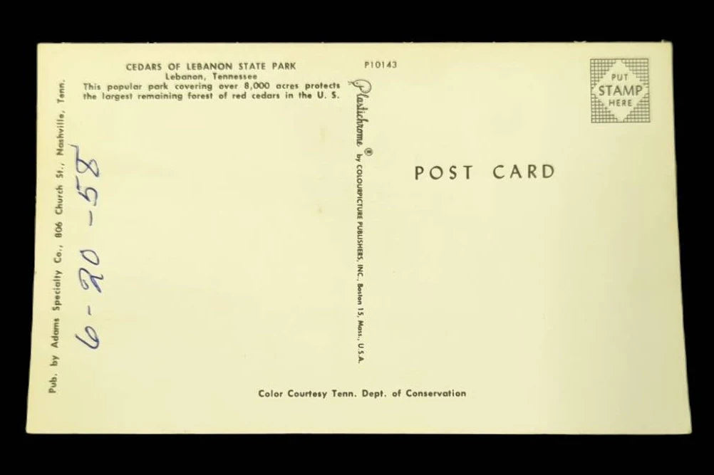 Cedars of Lebanon State Park, Lebanon, Tennessee - Vintage 1950s Park Postcard