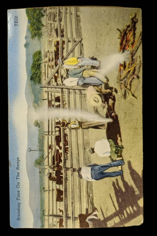 Branding Time on the Range in New Mexico - Vintage Texas Postcard
