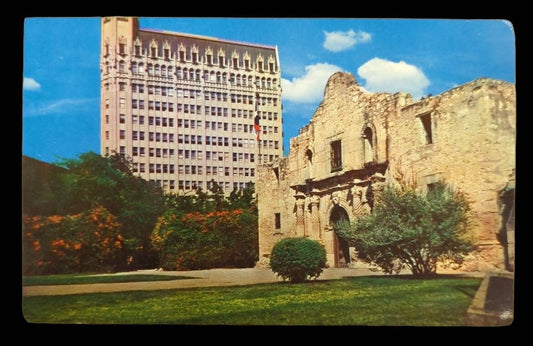 The Alamo, San Antonio, Texas - Vintage Postcard