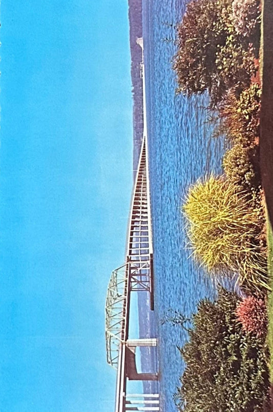 Evergreen Point Floating Bridge, Washington - Vintage 1960s Postcard
