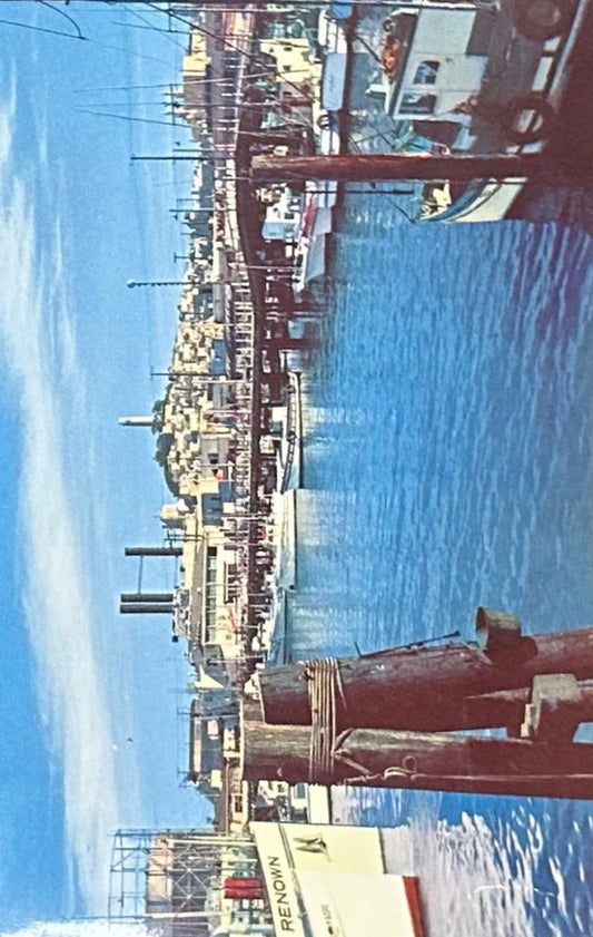 Fisherman's Wharf in the 1950s -  San Francisco California - Vintage Postcard