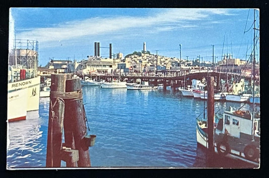 Fisherman's Wharf in the 1950s -  San Francisco California - Vintage Postcard