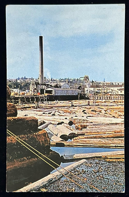 Typical Log Storage, Pacific Northwest - Washington - Vintage 1950s Postcard