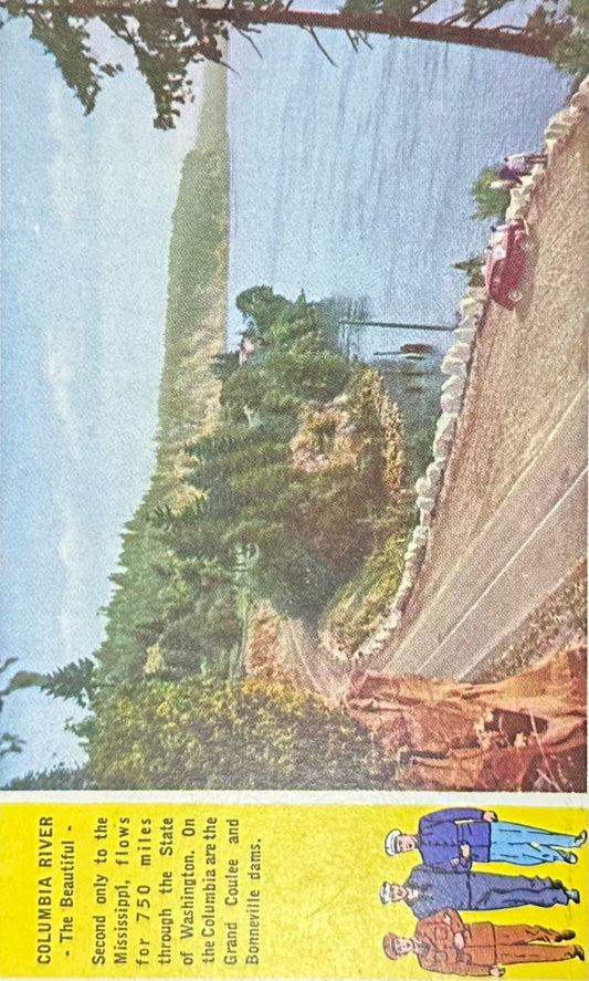 Columbia River, Washington - Vintage 1930s Nature Postcard