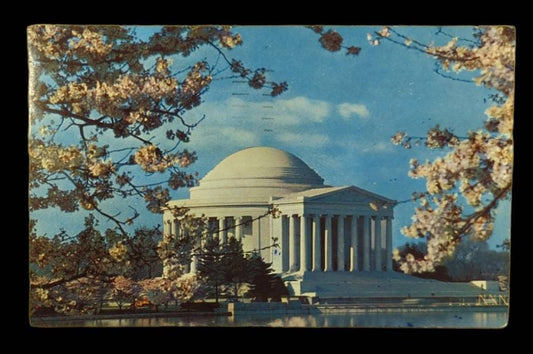The Jefferson Memorial at Cherry Blossom Time, Washington D.C., Maryland - Vintage 1950s Postcard