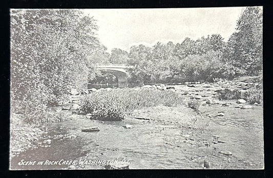 Scene in Rock Creek - Washington , D.C. - Vintage 1900s Postcard