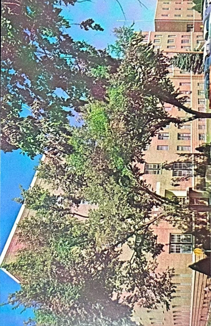 Exterior View of St. John's McNamara Hospital - Rapid City, South Dakota - Vintage Postcard