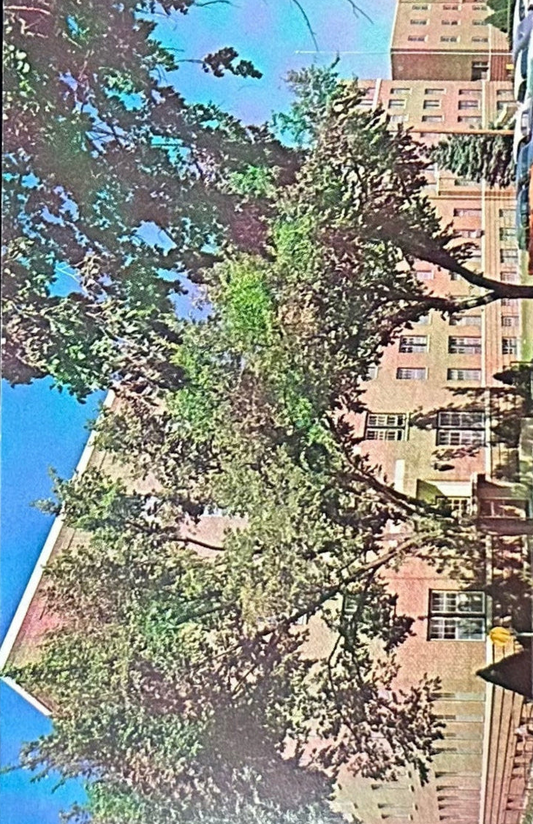 Exterior View of St. John's McNamara Hospital - Rapid City, South Dakota - Vintage Postcard