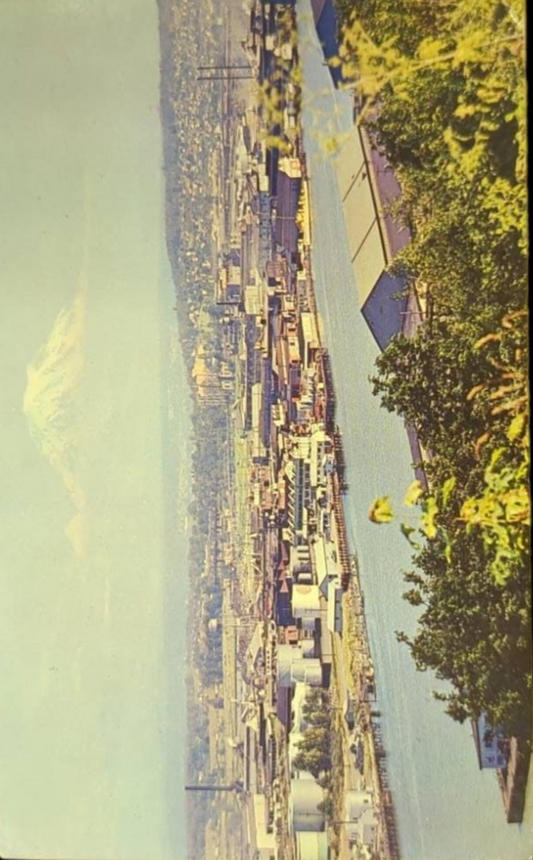 Tacoma, Washington - Vintage 1950s Postcard
